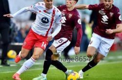 九游网站-热那亚爆冷逆转，击败劲旅新意大利的简单介绍